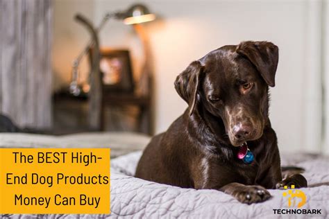 high end pet supplies.